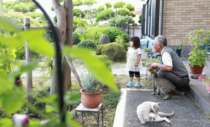 蜂の巣駆除 安全